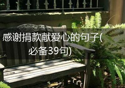 感谢捐款献爱心的句子(必备39句)
