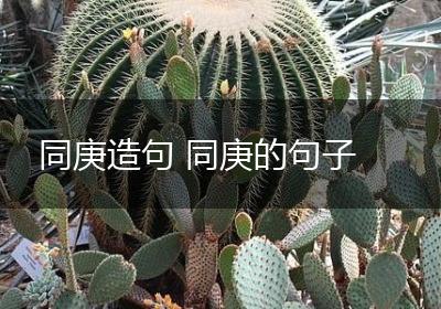 同庚造句 同庚的句子