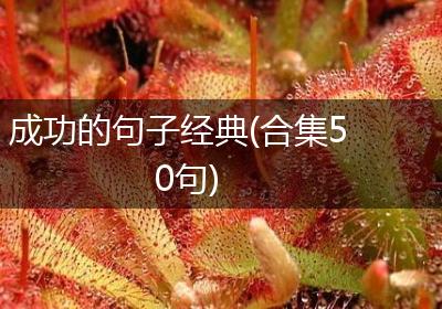 成功的句子经典(合集50句)
