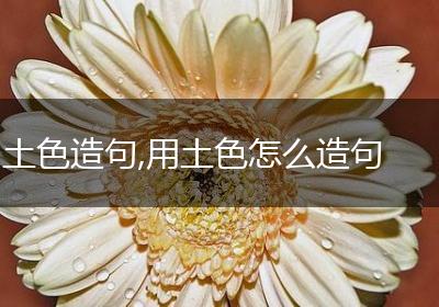 土色造句,用土色怎么造句