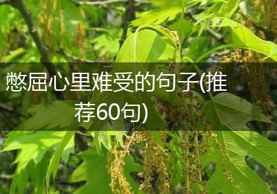 憋屈心里难受的句子(推荐60句)