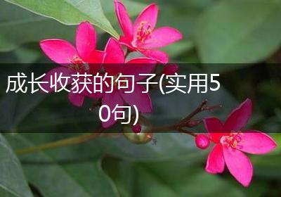 成长收获的句子(实用50句)