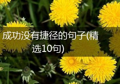 成功没有捷径的句子(精选10句)