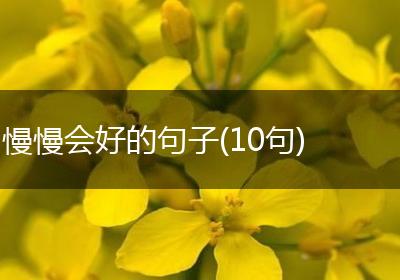 慢慢会好的句子(10句)