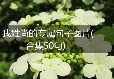 我姓尚的专属句子图片(合集50句)