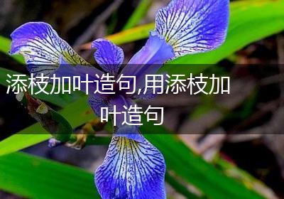 添枝加叶造句,用添枝加叶造句