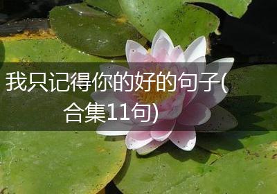 我只记得你的好的句子(合集11句)