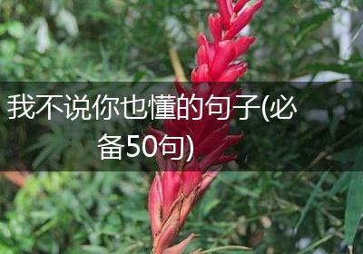 我不说你也懂的句子(必备50句)