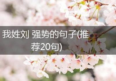 我姓刘 强势的句子(推荐20句)