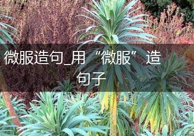 微服造句_用“微服”造句子