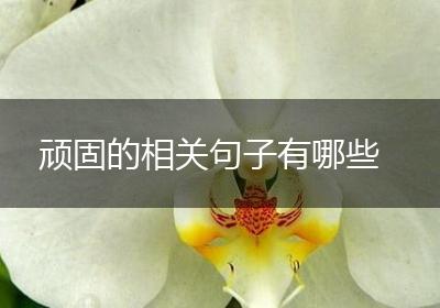 顽固的相关句子有哪些