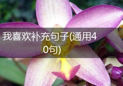 我喜欢补充句子(通用40句)