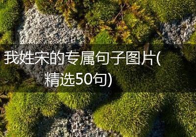 我姓宋的专属句子图片(精选50句)
