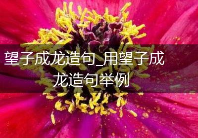 望子成龙造句_用望子成龙造句举例