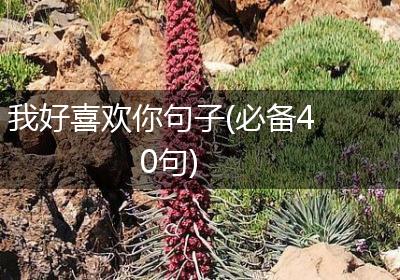 我好喜欢你句子(必备40句)