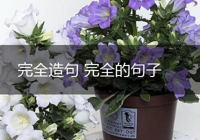 完全造句 完全的句子