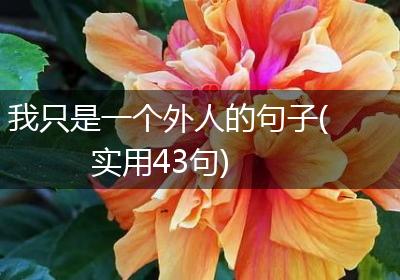 我只是一个外人的句子(实用43句)