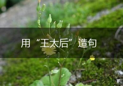 用“王太后”造句