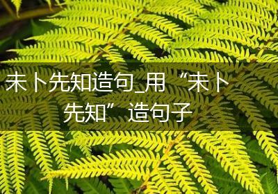 未卜先知造句_用“未卜先知”造句子