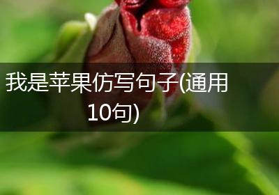 我是苹果仿写句子(通用10句)