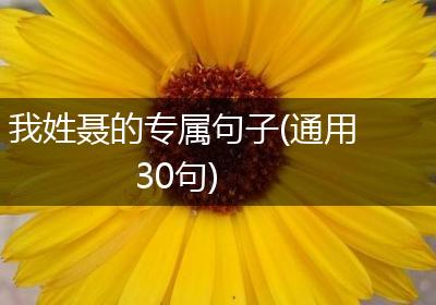 我姓聂的专属句子(通用30句)