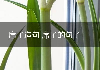 席子造句 席子的句子