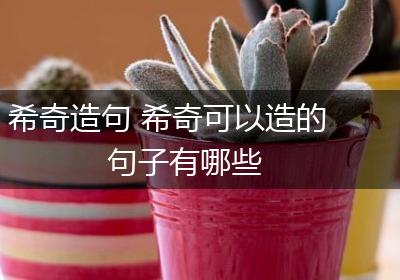 希奇造句 希奇可以造的句子有哪些