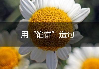 用“馅饼”造句