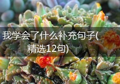 我学会了什么补充句子(精选12句)
