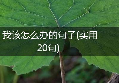 我该怎么办的句子(实用20句)