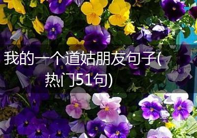 我的一个道姑朋友句子(热门51句)