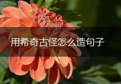 用希奇古怪怎么造句子