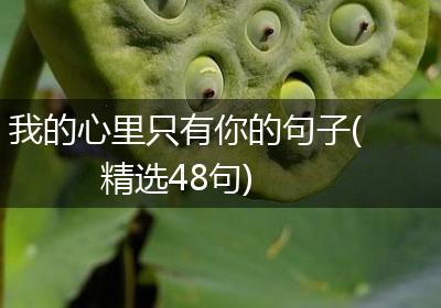 我的心里只有你的句子(精选48句)