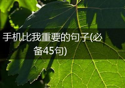 手机比我重要的句子(必备45句)