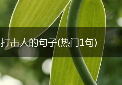 打击人的句子(热门1句)