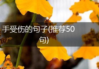 手受伤的句子(推荐50句)