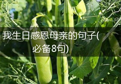 我生日感恩母亲的句子(必备8句)
