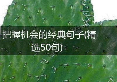 把握机会的经典句子(精选50句)