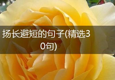 扬长避短的句子(精选30句)