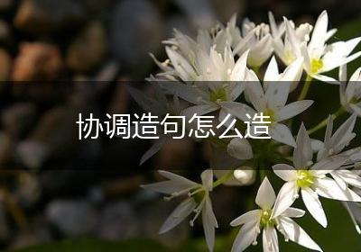 协调造句怎么造