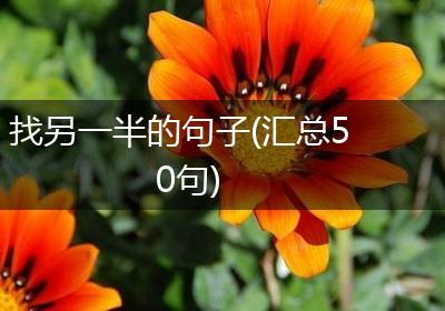 找另一半的句子(汇总50句)