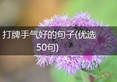 打牌手气好的句子(优选50句)