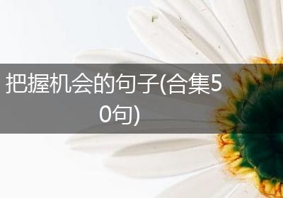 把握机会的句子(合集50句)