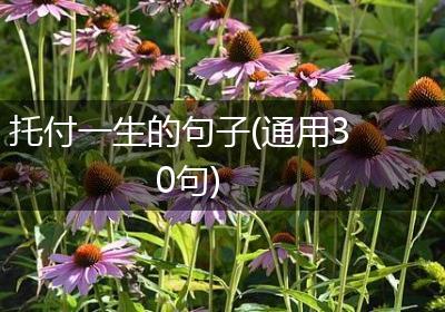 托付一生的句子(通用30句)