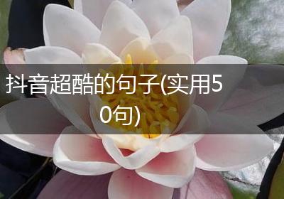 抖音超酷的句子(实用50句)