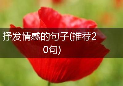 抒发情感的句子(推荐20句)