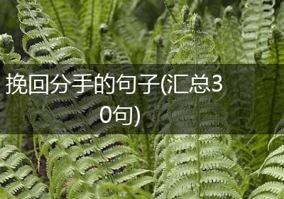 挽回分手的句子(汇总30句)