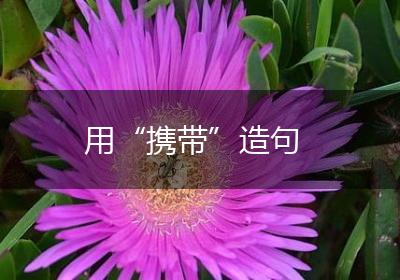 用“携带”造句