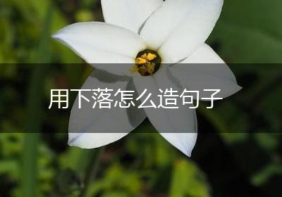 用下落怎么造句子