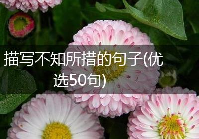 描写不知所措的句子(优选50句)